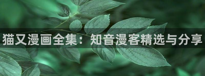 http://拷贝漫画.cc/：猫又漫画全集：知音漫客精选与分享